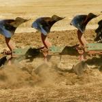 Agricultural equipment that can substitute mouldboard ploughing